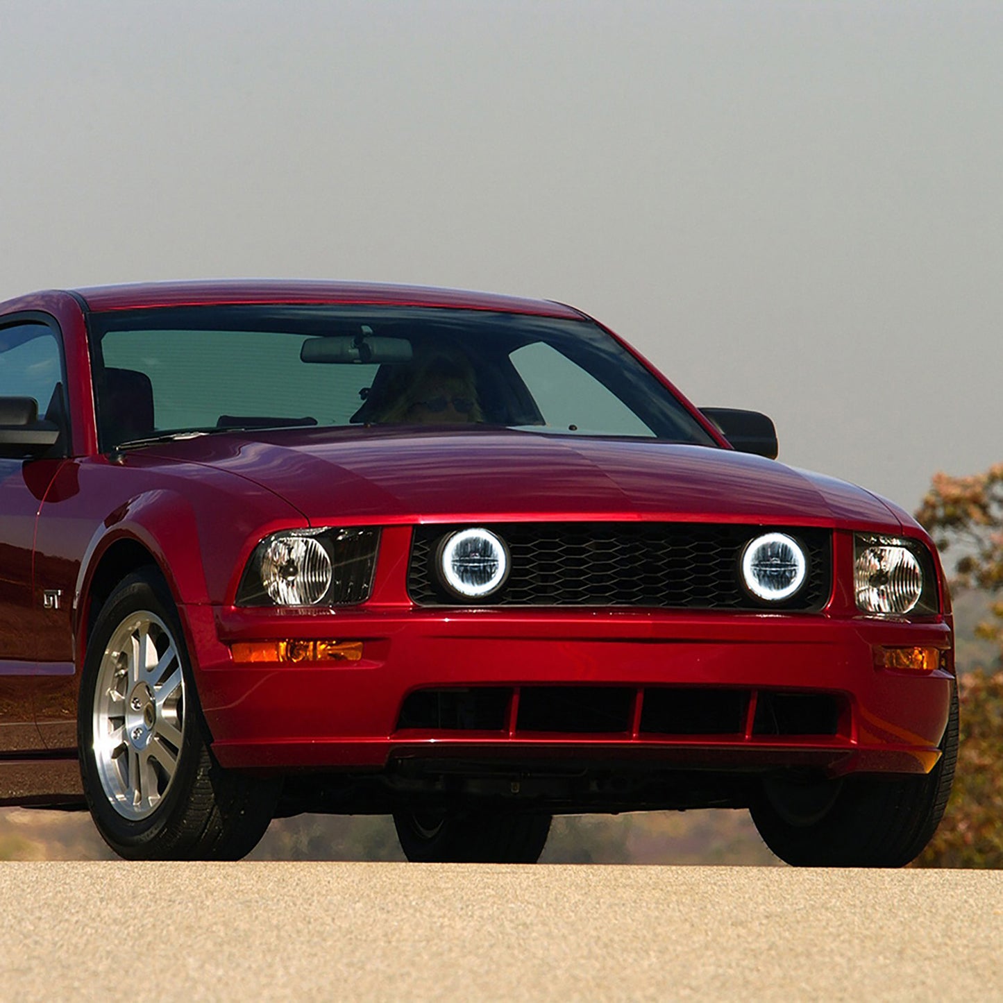 Clear Lens LED Halo Fog Light Assembly For 2005-2009 Ford Mustang GT - NS Auto Lighting
